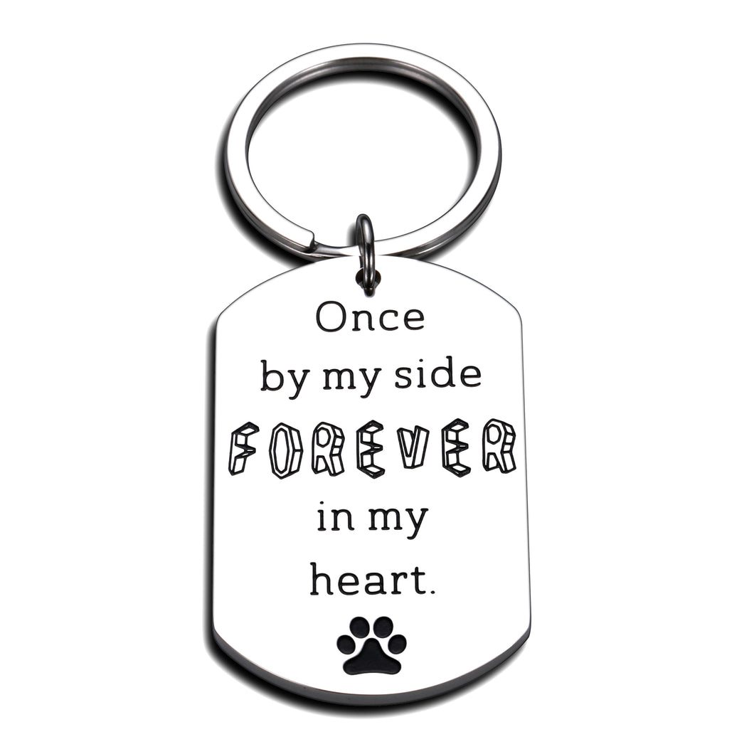 Dog Cat Memorial Gifts Keychain Loss of Pet Sympathy Gift in Memory of Dog Gift for Loss Pets Owner Lover Kid Teen Remembrance Jewelry Bereavement Keepsake Once by My Side Forever in My Heart